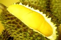 Chôm chôm và sầu riêng Long Khánh: Được cấp giấy chứng nhận nhãn hiệu hàng hóa tập thể