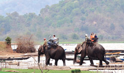 Foreign tourist numbers up 18.4%