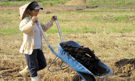 Nông dân ở  ấp Tân Thịnh, xã Đồi 61 (huyện Trảng Bom) đang chuẩn bị xuống giống vụ mùa. Ảnh: H. GIANG