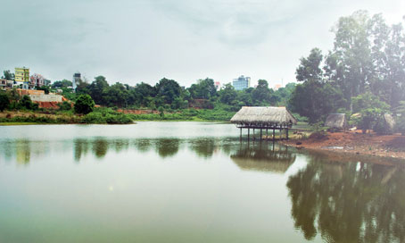 Một khu du lịch sinh thái ở Phước Long.