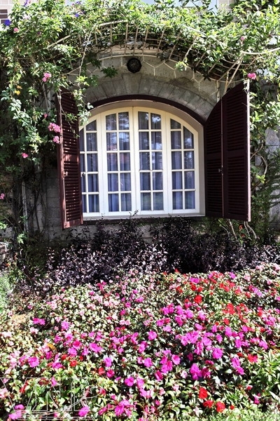 Old Villas Amidst Flowers
