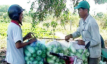 Ông Cao (bên phải) bán bầu đất cho thương nhân. (Ảnh: L.Tùng)