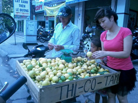 Sự xuất hiện hiếm hoi của trái thị đã thu hút sự chú ý của nhiều người đi đường.                    Ảnh: K.PHA