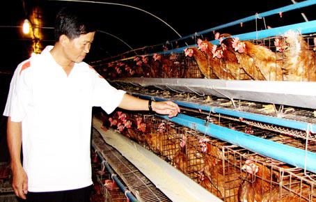 Chăn nuôi an toàn: Phòng bệnh hơn chữa bệnh!