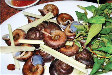 Đau lòng…“đặc sản” núi Bà Đen