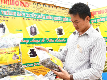 Anh Phú với sản phẩm nấm xắt sợi đóng gói xuất khẩu.  