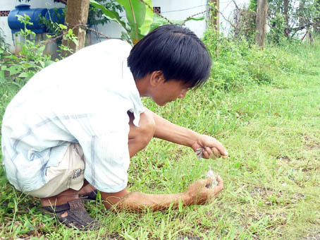 Thú vui bẫy bắt chim trời