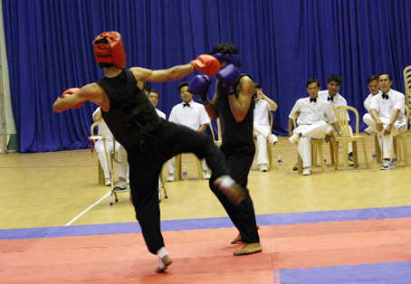 Các võ sĩ cổ truyền Đồng Nai thi đấu khá thành công tại giải cụm miền Đông.