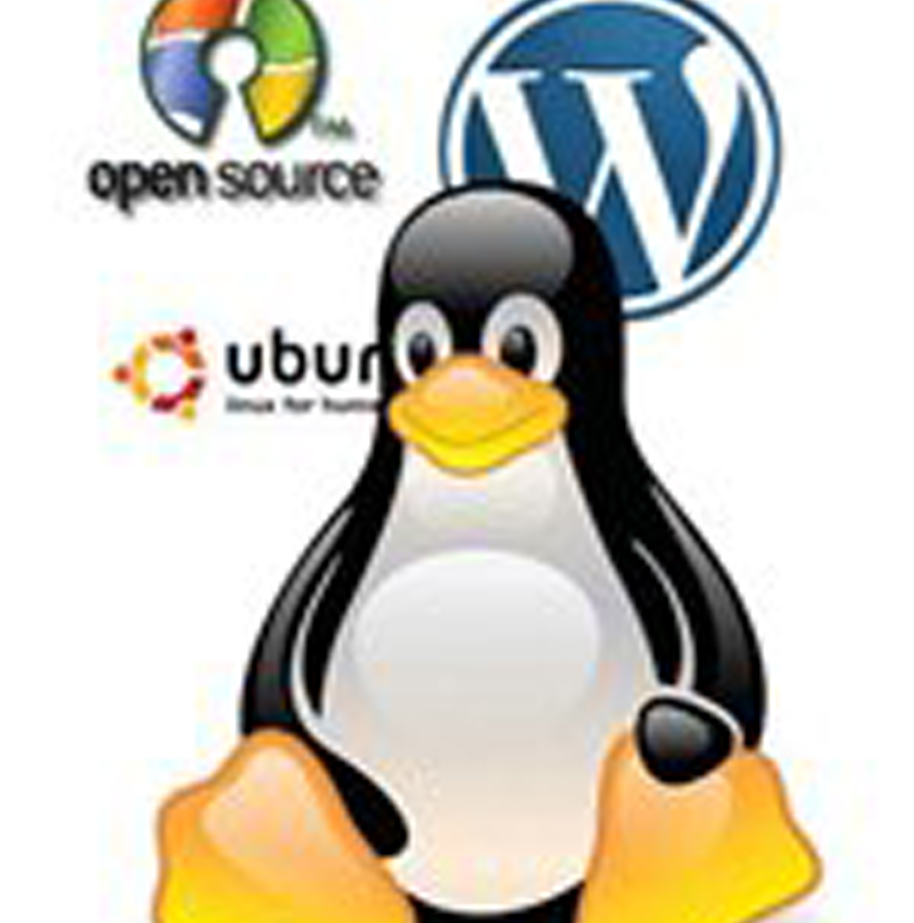 Open source software development companies still struggle to survive