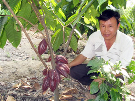 Anh Trương Văn Mỹ bên cây ca cao 2 năm tuổi. Ảnh: LÊ TÙNG