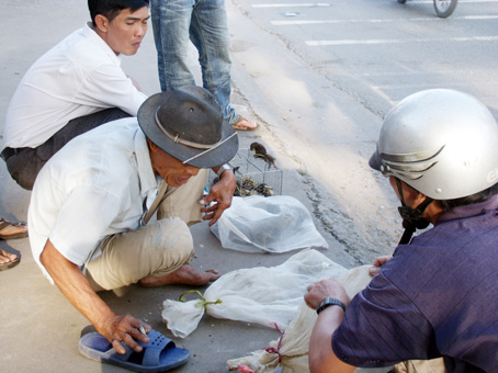 Các bao lưới đựng kỳ đà, trăn bày bán ngay sát lề đường thu hút khách đi đường ghé xem. (Ảnh chụp ngày 15-11) Ảnh: B.N