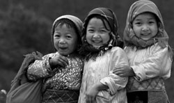 Top international photos on show