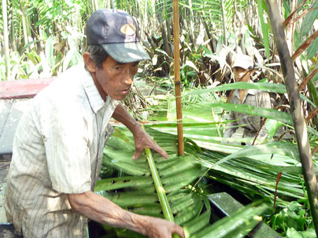 Dù ruộng đồng ở Nhơn Trạch đang bị bỏ hoang, chuyển đổi chức năng, nhưng dừa nước vẫn còn và tuổi già như bà Sáu, vợ chồng ông Năm Đầu Công vẫn còn thứ để bươn chải mưu sinh.       