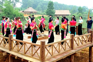 Vietnam calls for investment in ethnic group village project
