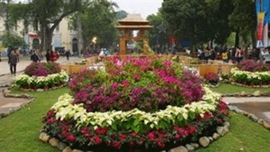 Flower festival to welcome New Year