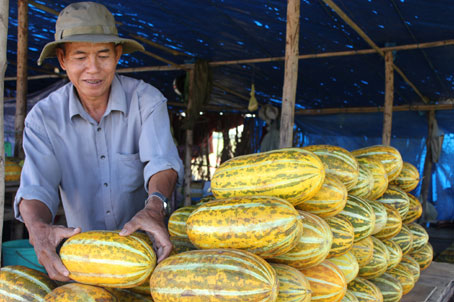 Dưa gang Long Thành được chất đầy tại vựa hàng chờ người mua (Ảnh: B. Nguyên)