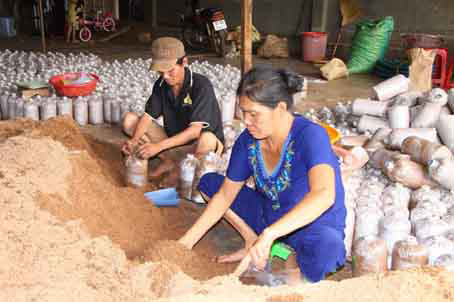 Xuân Định trên đường xây dựng nông thôn mới