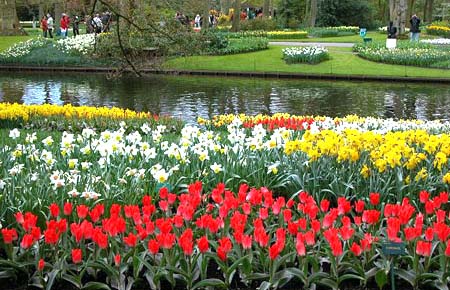 Da Lat gears up for bloom boom