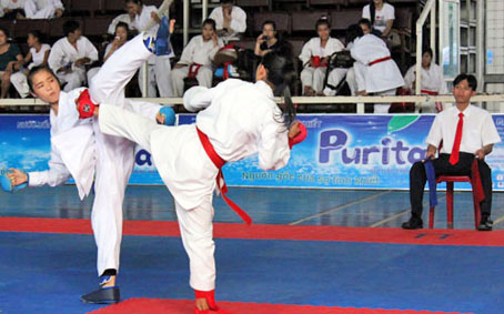 Các võ sĩ thi đấu ở giải Karatedo Đông Nam bộ 2011.
