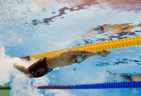 Hoàng Quý Phước.