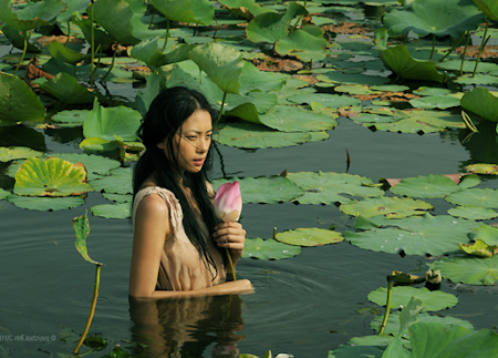 Phim Việt đoạt giải tại LHP ở Mỹ