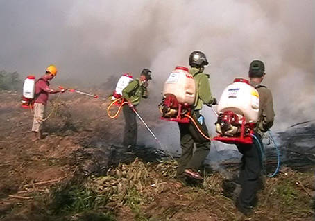Diễn tập chữa cháy rừng ở xã Phú Lý.