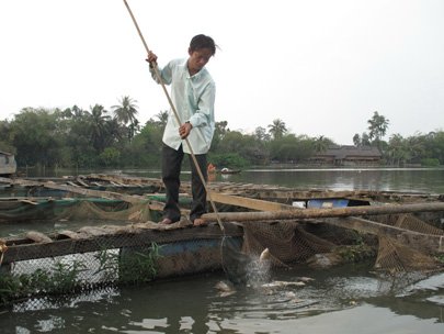 A farmer picks up dead fish in the Cai River, a tributary of the Dong Nai River that is now heavily polluted