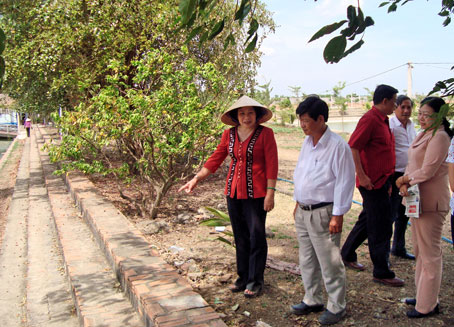 Đồng chí Bùi Ngọc Thanh và các đại biểu tham dự hội nghị đi thăm mô hình làm kinh tế giỏi ở xã Xuân Đông. Ảnh: P. Hằng