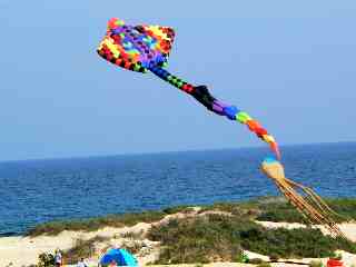 Ba Ria-Vung Tau to host int’l kite festival