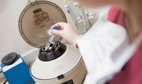 Hàn Quốc:Phụ nữ độc thân đua nhau gửi trứng vào ngân hàng