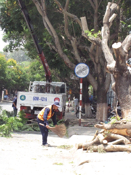 TP.Biên Hòa đang khắc phục hậu quả sau cơn bão số 1.