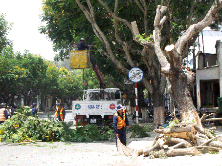 TP. Biên Hòa khắc phục hậu quả sau cơn bão số 1. Ảnh: H. GIANG