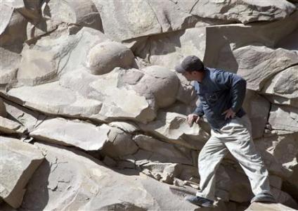 A man looks at what is believed to be fossilised dinosaur eggs at a site in Russia's volatile Chechnya region April 14, 2012