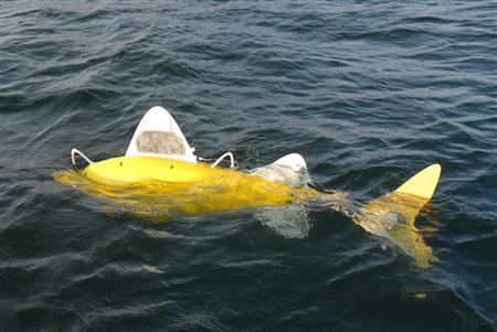 he SHOAL robotic fish, a state-of-the-art pollution monitoring system, is seen in this undated handout photo. he SHOAL robotic fish, a state-of-the-art pollution monitoring system, is seen in this undated handout photo. 