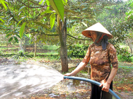 Hỗ trợ