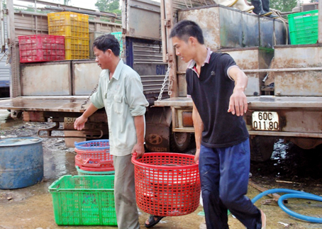 Cước vận tải vẫn chưa hạ nhiệt dù xăng dầu đã nhiều lần giảm giá. Ảnh: B.Nguyên