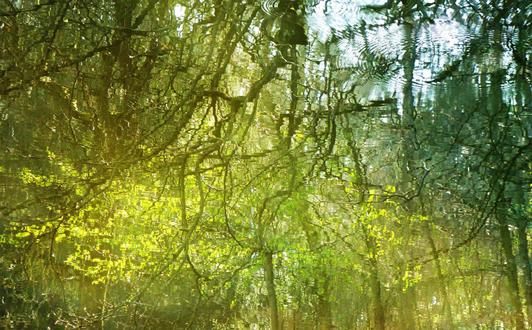 River Skell Spring Reflections #2 taken by yorktone on 25 March 2012