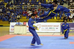 Vietnamese martial art added to SEA Games