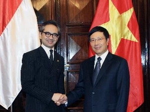 Foreign Minister Pham Binh Minh and his Indonesian counterpart, Marty Natalegawa, co-chaired the meeting.