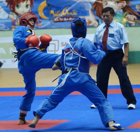 Int’l Vietnamese martial arts tournament opens