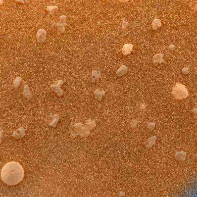 A magnified look at the martian soil near the Mars Exploration Rover Opportunity's landing site, Meridiani Planum, shows coarse grains sprinkled over a fine layer of sand, February 2004. The image roughly approximates the color a human eye would see. 