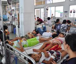 Dengue fever patients at the HCM City Pediatrics Hospital