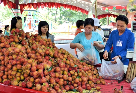 Đặc sản chôm chôm Long Khánh bán tại Chợ trái cây Nam bộ (Lễ hội trái cây Nam bộ được tổ chức thường niên tại TP. Hồ Chí Minh). Ảnh: K. Giới