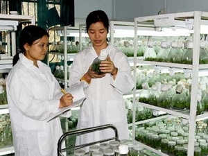 Vietnam, Laos to boost science and technology cooperation