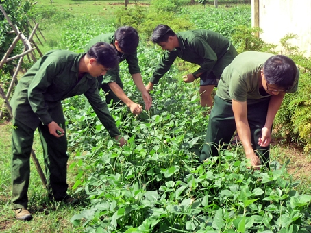 Chăm sóc vườn rau xanh trong đơn vị. Ảnh: Đ.Việt