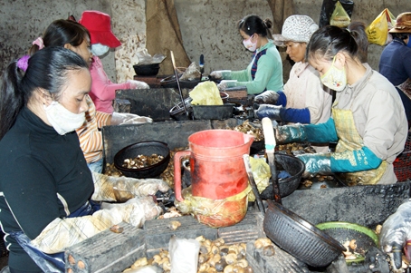 Chị em phụ nữ làm việc tại cơ sở bóc vỏ hạt điều ở xã Bảo Vinh. Ảnh: N.S