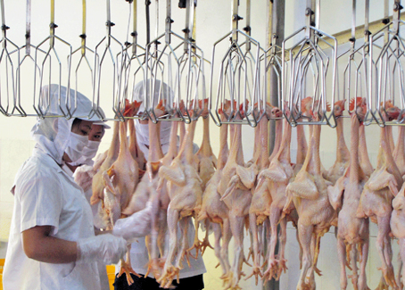 Dây chuyền giết mổ gà của Công ty TNHH một thành viên chăn nuôi Bình Minh (huyện Trảng Bom).