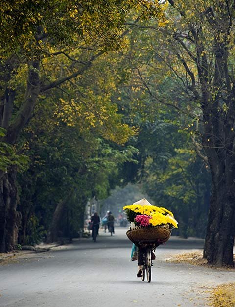 A florist on Yen Phu road.