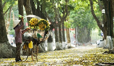 Flower sellers on Phan Dinh Phung Road.