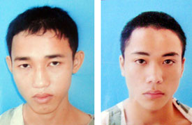 Băng trộm thích lấy ba ba